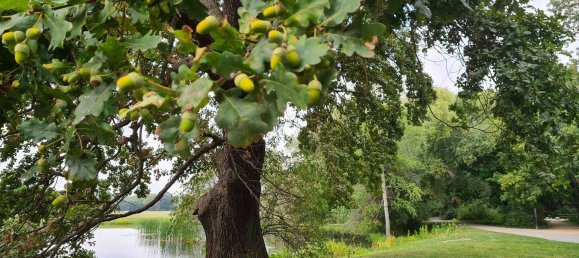 1 غرف نوم شقة في Leipzig, Germany رقم 363567 10