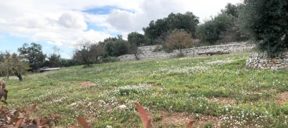 2 bedrooms House in Monopoli, Italy No. 376024 9