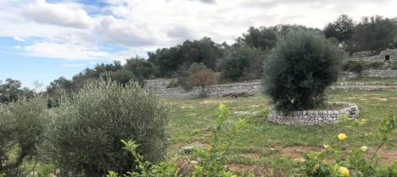 2 bedrooms House in Monopoli, Italy No. 376024 3