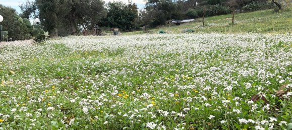 2 bedrooms House in Monopoli, Italy No. 376024 27