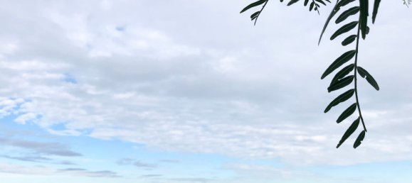 2 bedrooms House in Monopoli, Italy No. 376024 29