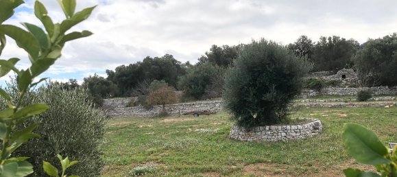 2 bedrooms House in Monopoli, Italy No. 376024 24