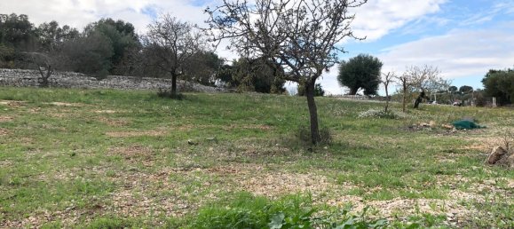 2 bedrooms House in Monopoli, Italy No. 376024 31