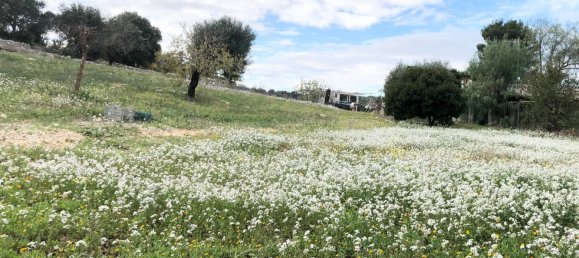 2 bedrooms House in Monopoli, Italy No. 376024 30