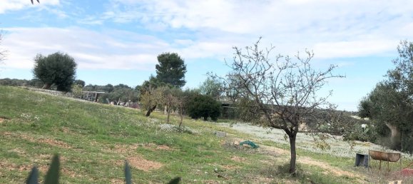 2 bedrooms House in Monopoli, Italy No. 376024 32