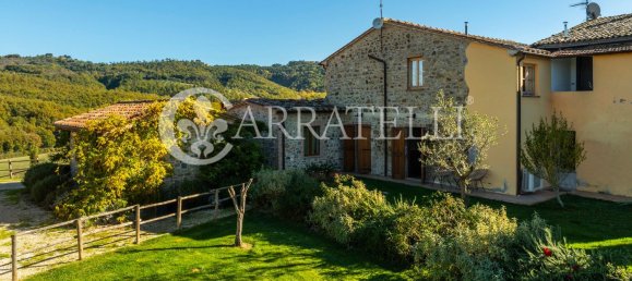 20 rooms House in Ficulle, Italy No. 107159 9