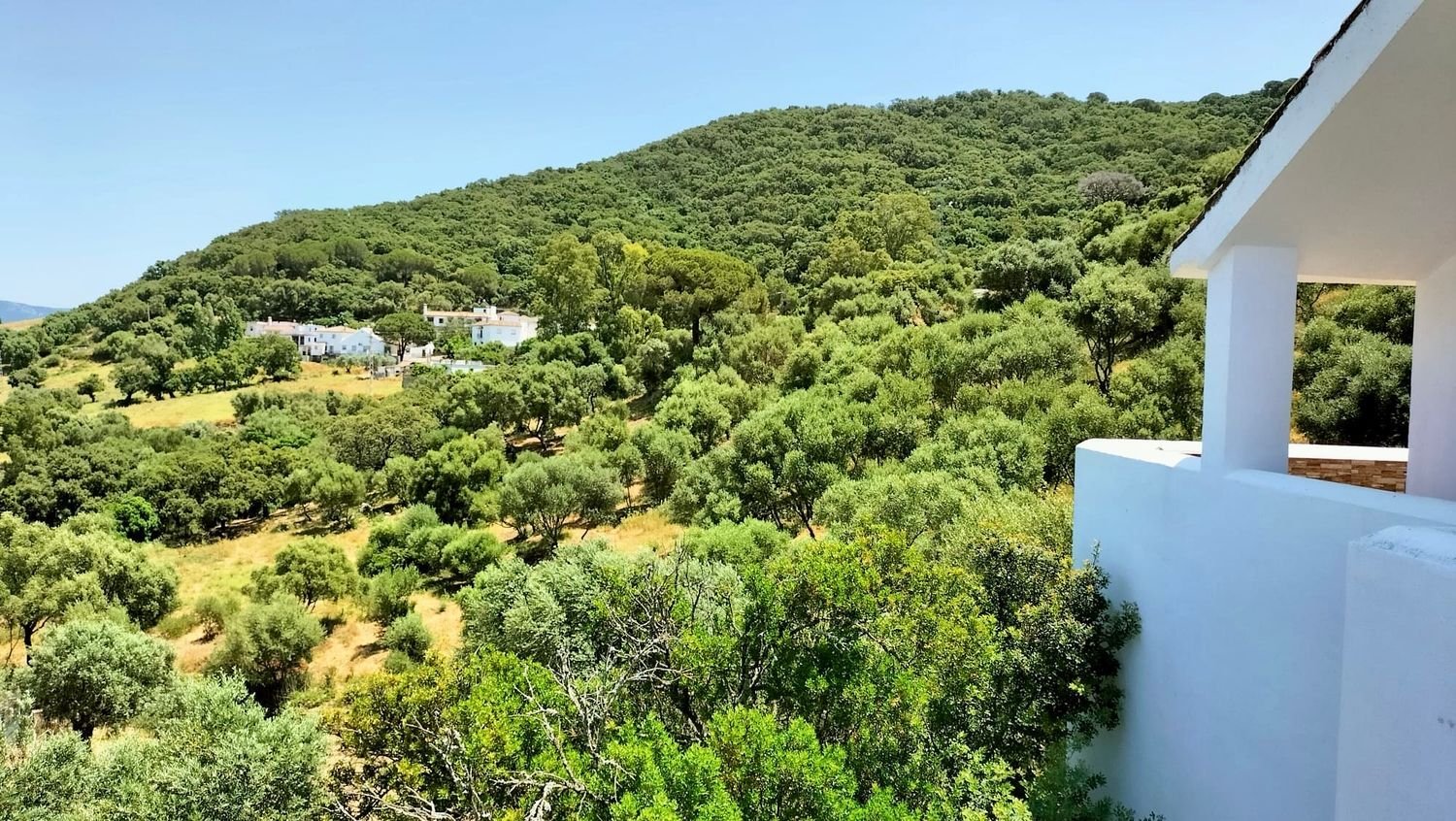 3 chambres Maison de ville à Cadiz, Spain No. 159698
