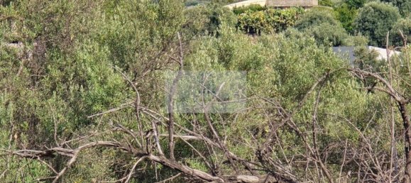 Земельный участок в Сиракузы, Италия № 356952 13