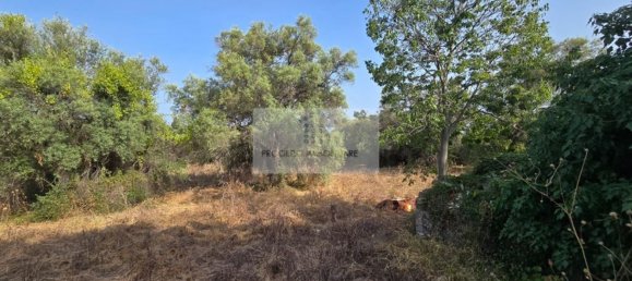 Земельный участок в Сиракузы, Италия № 356952 18