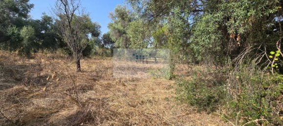 Земельный участок в Сиракузы, Италия № 356952 16