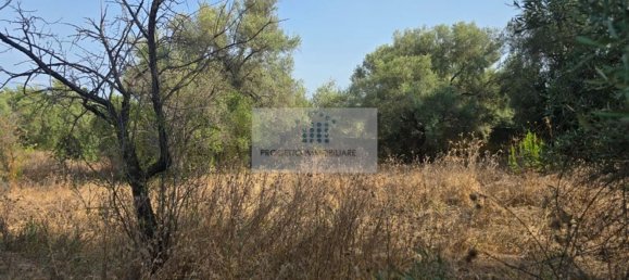 Земельный участок в Сиракузы, Италия № 356952 15