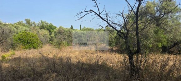 Земельный участок в Сиракузы, Италия № 356952 14