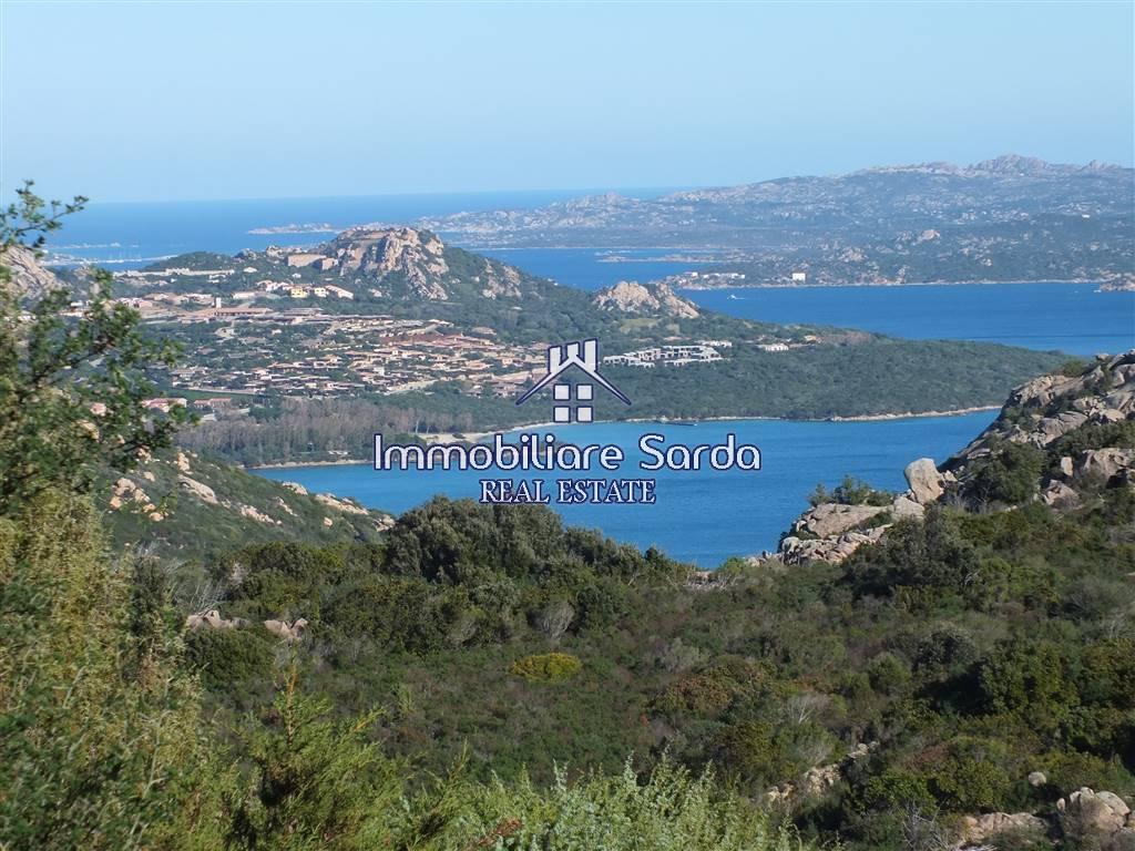 11-salle Villa à Arzachena, Italy No. 238295