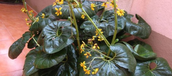 Здание 1485м² в Лиссабон, Португалия № 136288 24