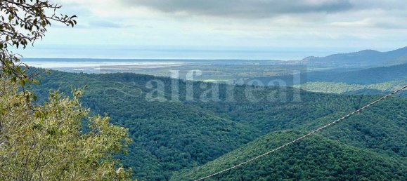 2 غرف نوم منزل في Castiglione della Pescaia, Italy رقم 218553 4