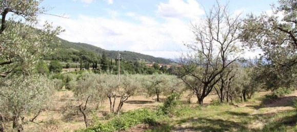 Terreno em Loro Ciuffenna, Italy 100000 m² N.º 143550 13