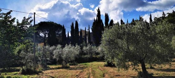 Terreno em Loro Ciuffenna, Italy 100000 m² N.º 143550 2
