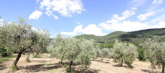 Terreno em Loro Ciuffenna, Italy 100000 m² N.º 143550 12