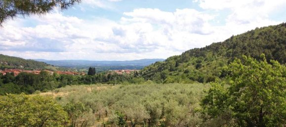 Terreno em Loro Ciuffenna, Italy 100000 m² N.º 143550 11