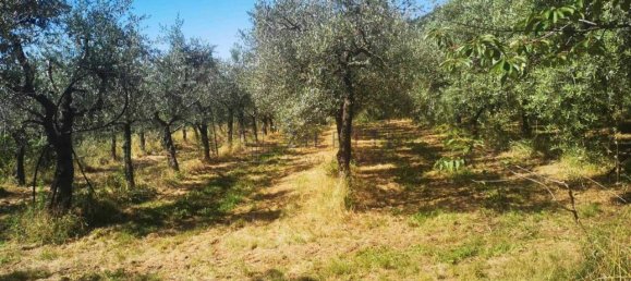 Terreno em Loro Ciuffenna, Italy 100000 m² N.º 143550 4