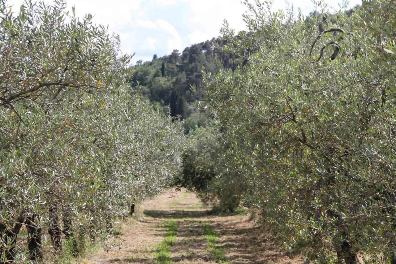 Terreno em Loro Ciuffenna, Italy 100000 m² N.º 143550