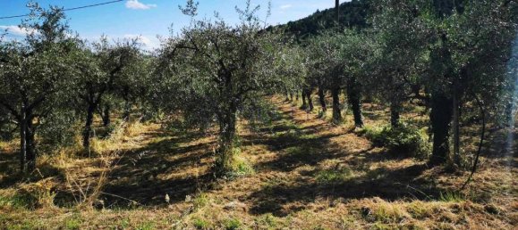 Terreno em Loro Ciuffenna, Italy 100000 m² N.º 143550 8