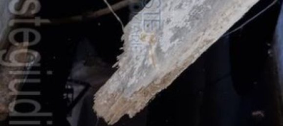 Apartamento de 3 habitaciónes en Livorno, Italy No. 41697 13