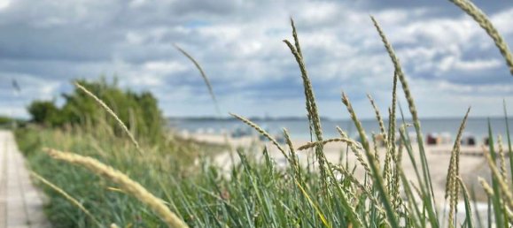 1 Schlafzimmer Wohnung in Ostholstein, Germany, Nr. 226110 18