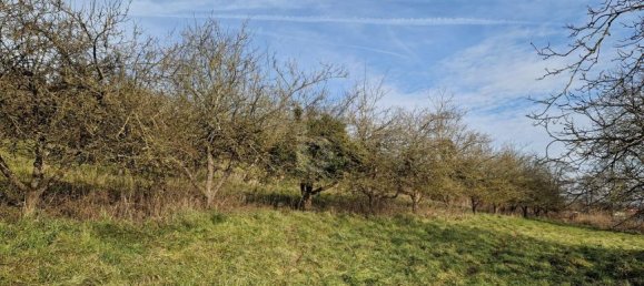 Imóvel comercial em Bad Schallerbach, Austria N.º 248177 2