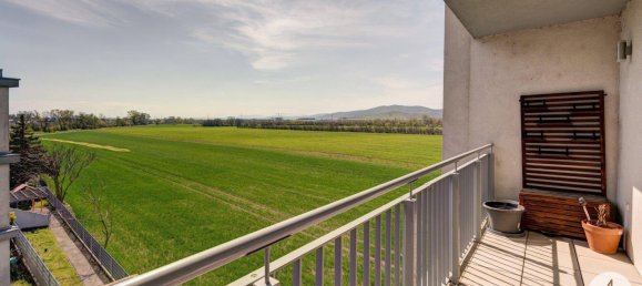 3 rooms Apartment in Laxenburg, Austria No. 189279 4