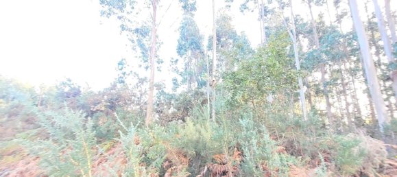  Land in A Coruna, Spain No. 48534 5