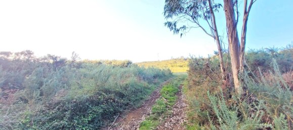  Land in A Coruna, Spain No. 48534 4