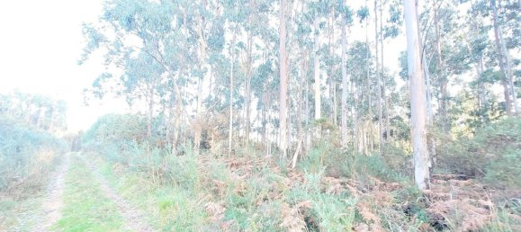  Land in A Coruna, Spain No. 48534 14