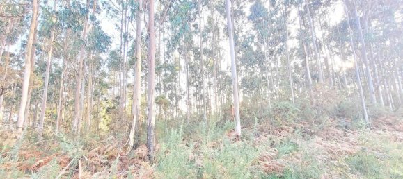  Land in A Coruna, Spain No. 48534 15