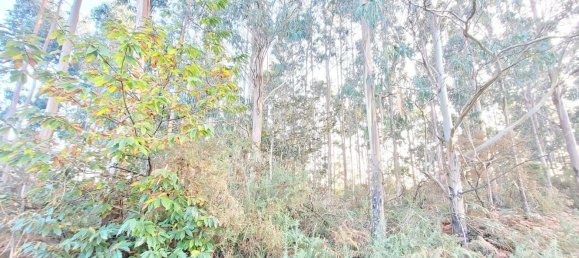  Land in A Coruna, Spain No. 48534 13