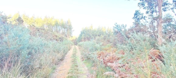  Land in A Coruna, Spain No. 48534 2