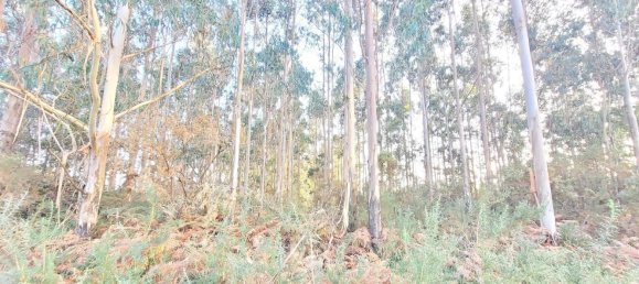  Land in A Coruna, Spain No. 48534 9