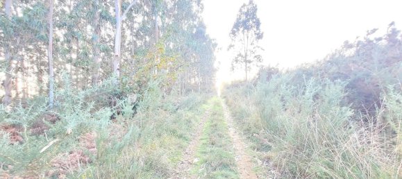  Land in A Coruna, Spain No. 48534 16