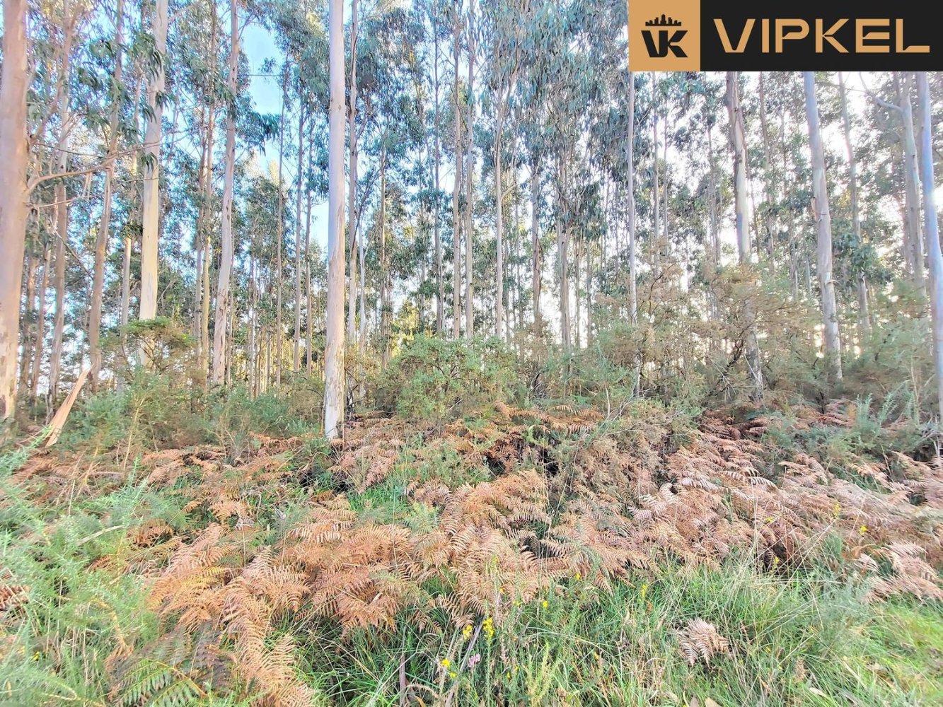  Land in A Coruna, Spain No. 48534