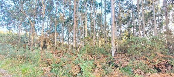  Land in A Coruna, Spain No. 48534 3