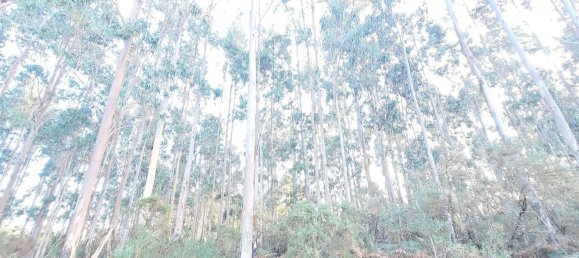  Land in A Coruna, Spain No. 48534 21