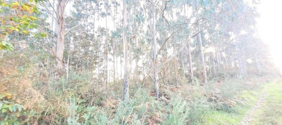  Land in A Coruna, Spain No. 48534 18