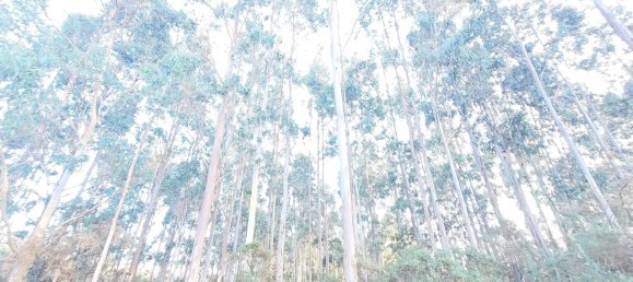  Land in A Coruna, Spain No. 48534 20