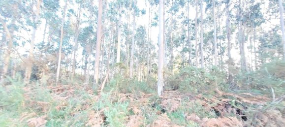  Land in A Coruna, Spain No. 48534 17