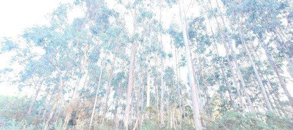  Land in A Coruna, Spain No. 48534 22