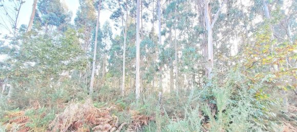  Land in A Coruna, Spain No. 48534 11