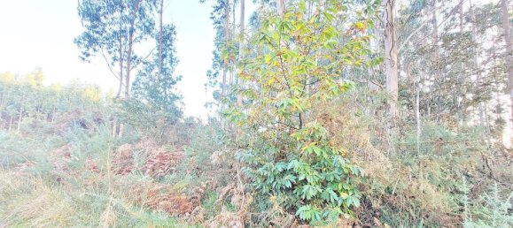  Land in A Coruna, Spain No. 48534 8