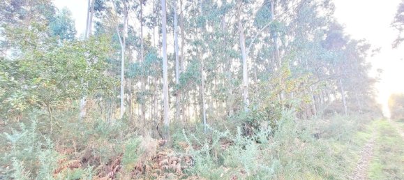  Land in A Coruna, Spain No. 48534 19