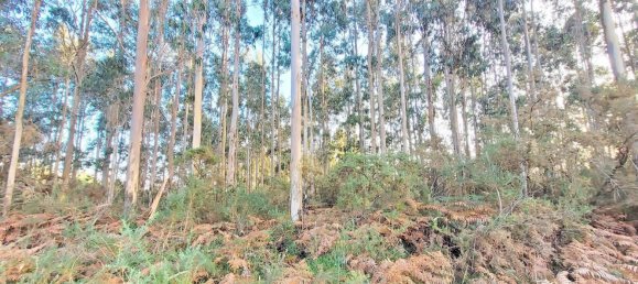  Land in A Coruna, Spain No. 48534 7