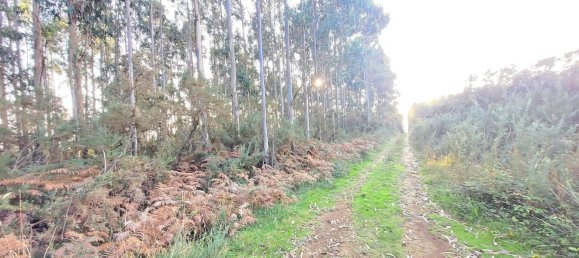  Land in A Coruna, Spain No. 48534 10